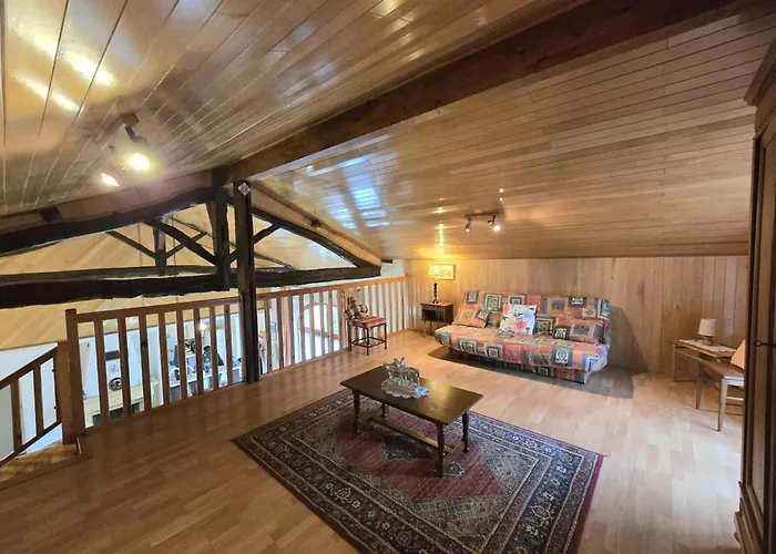 Charmante Maison En Pierre Avec Cheminee Et Animaux Acceptes - Fr-1-616-165 *